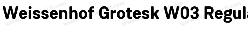 Weissenhof Grotesk W03 Regular字体转换
